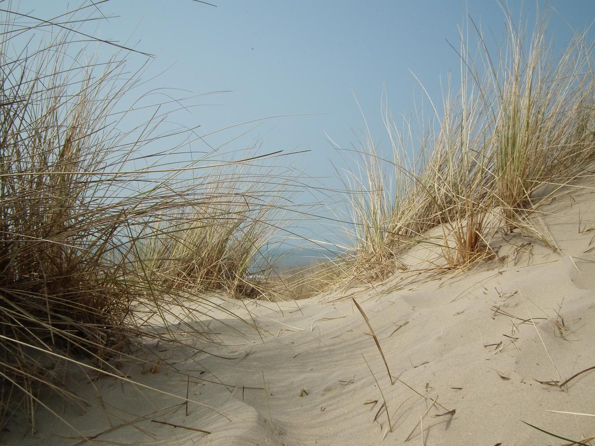 Hollumerstrand Hollum  Dış mekan fotoğraf